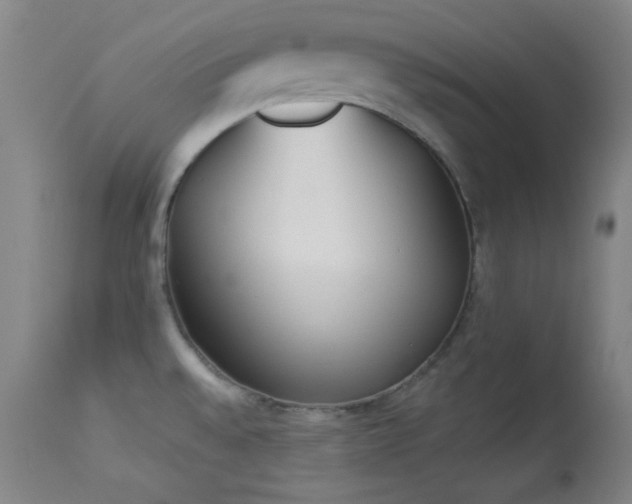 X0000113981528200910021124