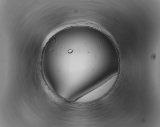 X0000113981530200910021124