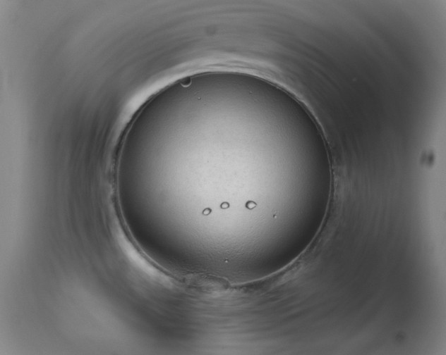 X0000113981531200910021124