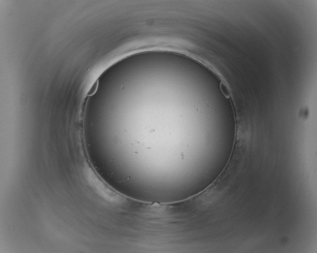X0000113981532200910021124