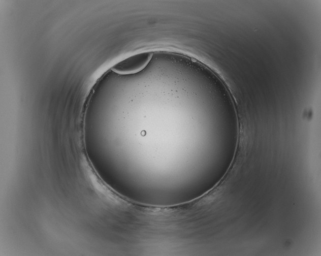 X0000113981534200910021124