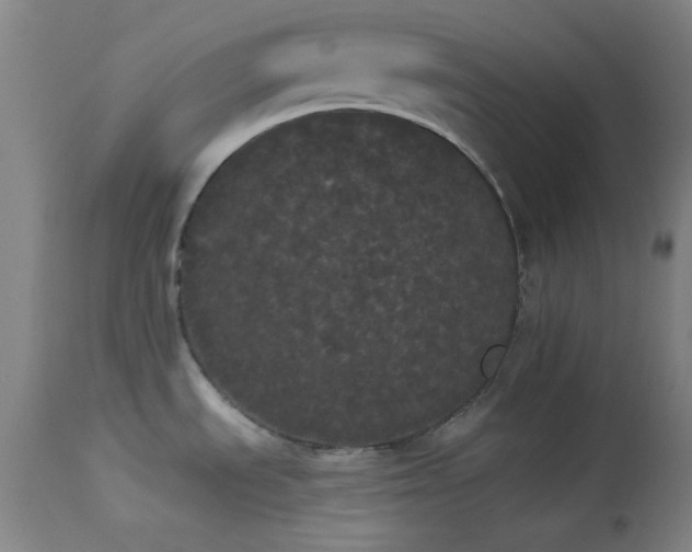 X0000113981535200910021124