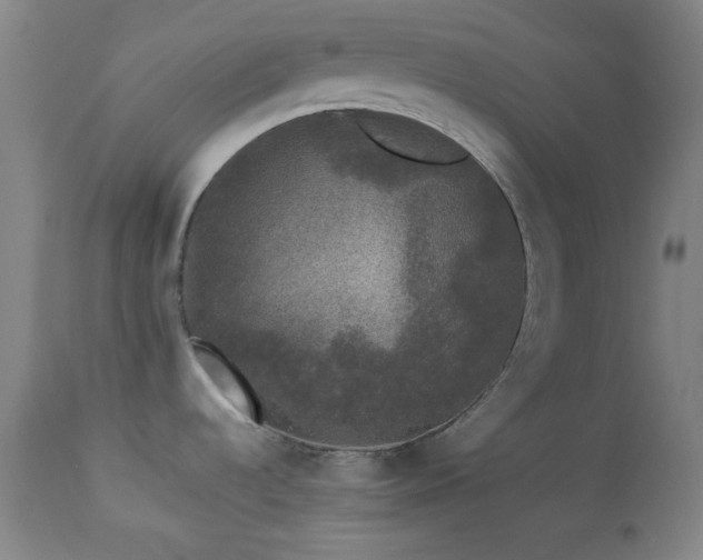 X0000113981536200910021124