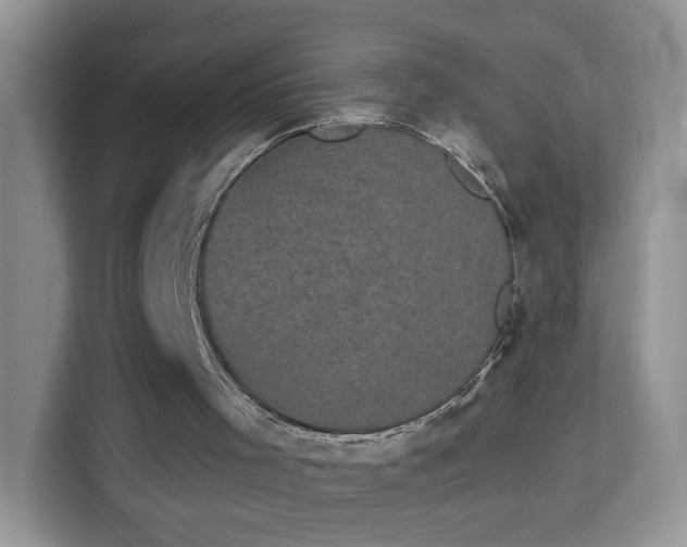 X0000113980001200910091327