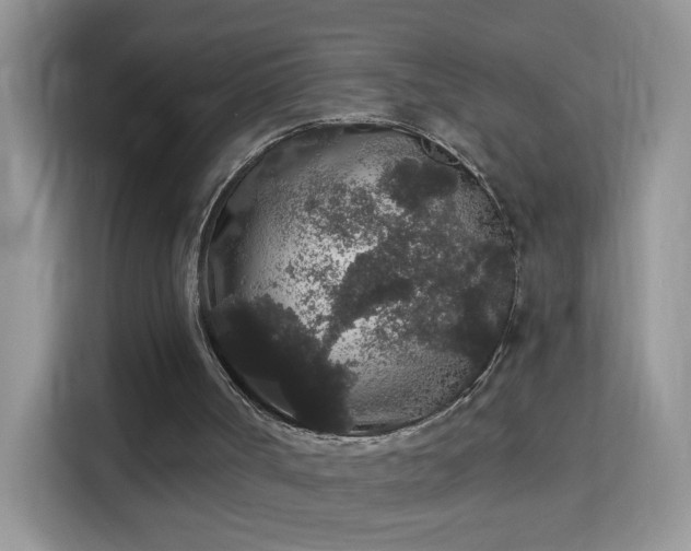 X0000113980002200910091327