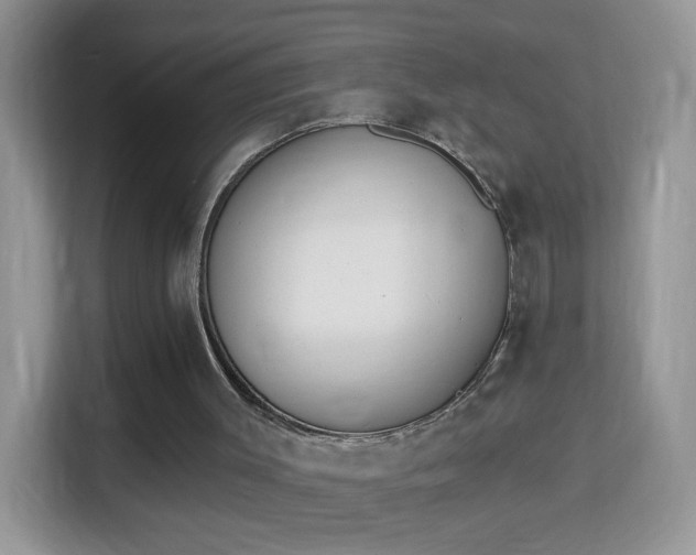 X0000113980003200910091327