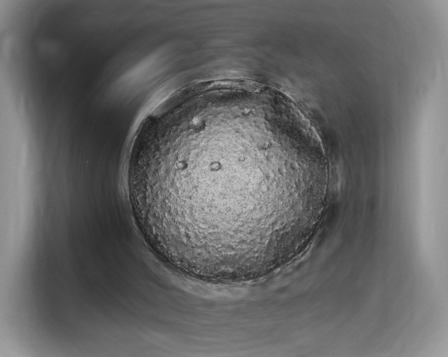 X0000113980004200910091327