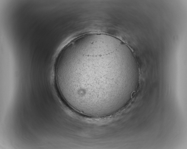 X0000113980005200910091327