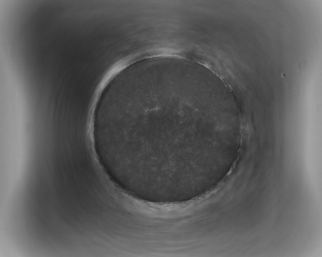 X0000113980006200910091327