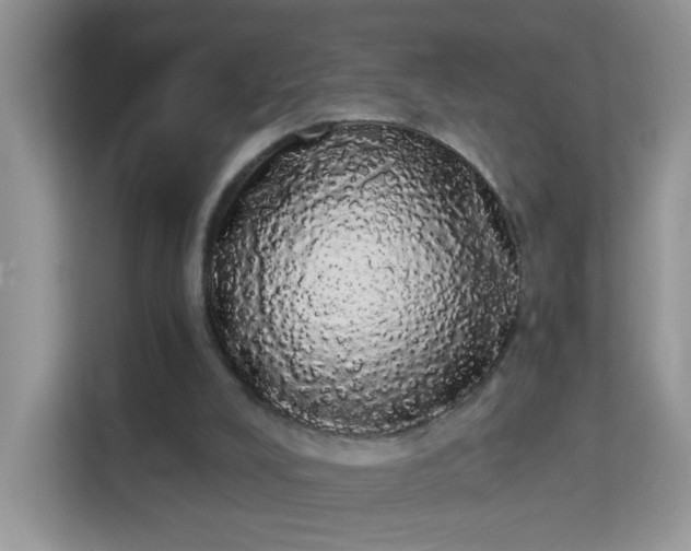 X0000113980008200910091327