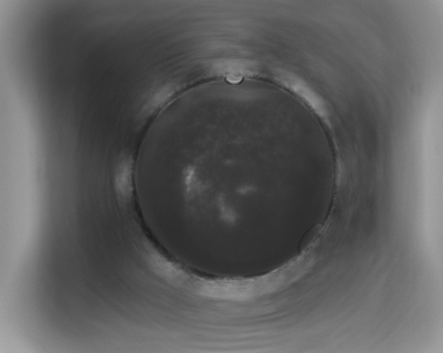 X0000113980009200910091327