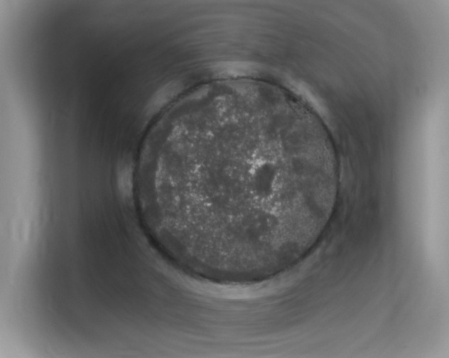 X0000113980010200910091327