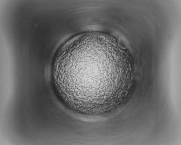 X0000113980012200910091327