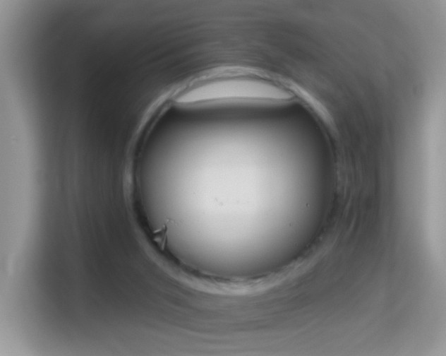 X0000113980015200910091327