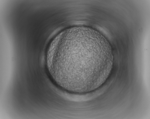 X0000113980016200910091327