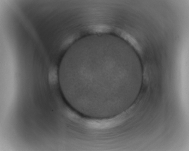 X0000113980017200910091327