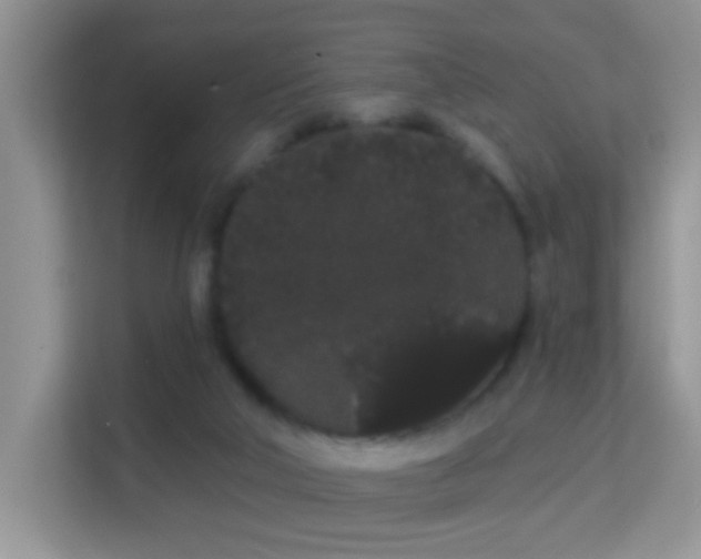 X0000113980018200910091327