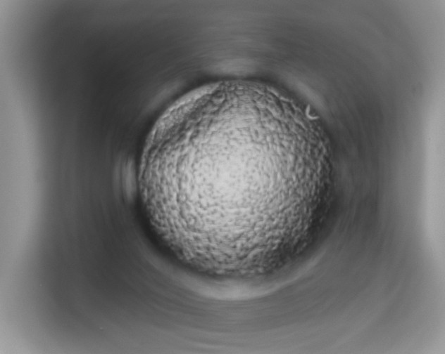 X0000113980020200910091327