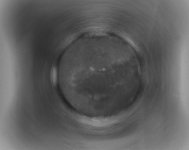 X0000113980022200910091327