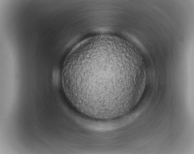 X0000113980024200910091327