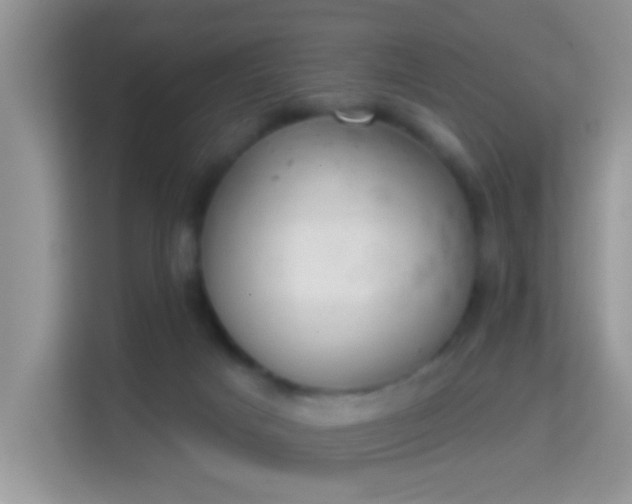 X0000113980025200910091327