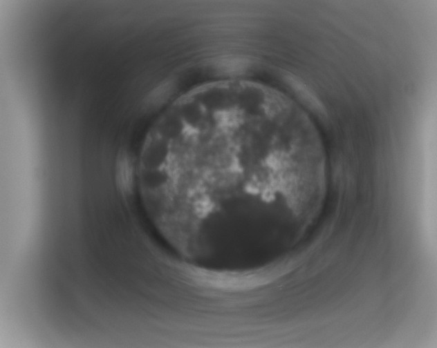 X0000113980026200910091327