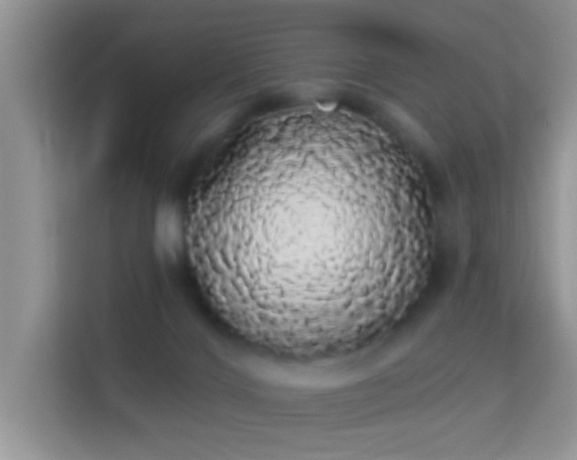 X0000113980028200910091327