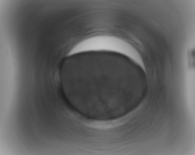 X0000113980029200910091327