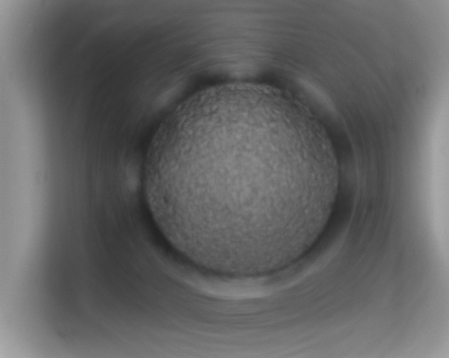 X0000113980032200910091327