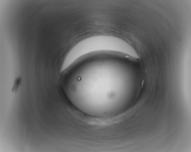 X0000113980033200910091327