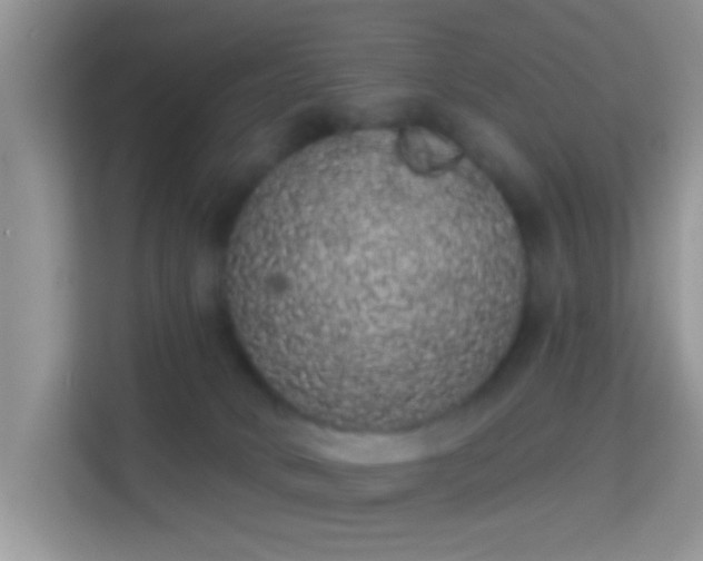 X0000113980034200910091327