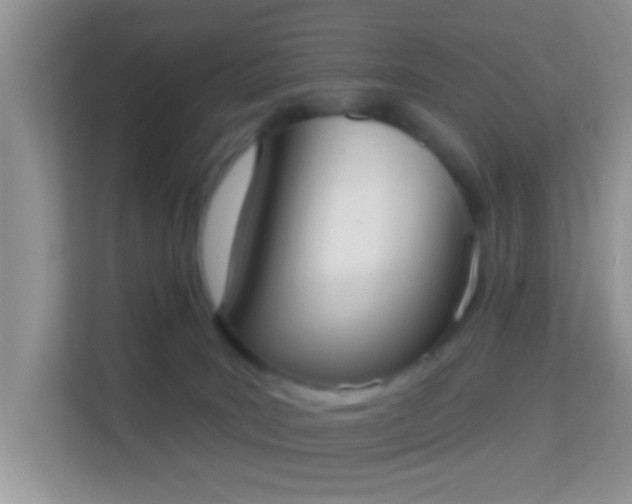 X0000113980035200910091327