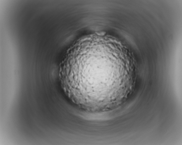 X0000113980036200910091327