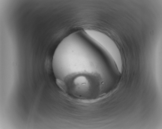 X0000113980037200910091327