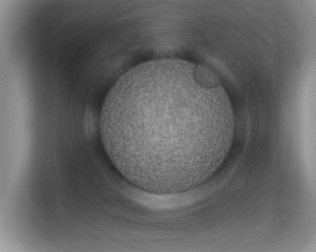 X0000113980038200910091327