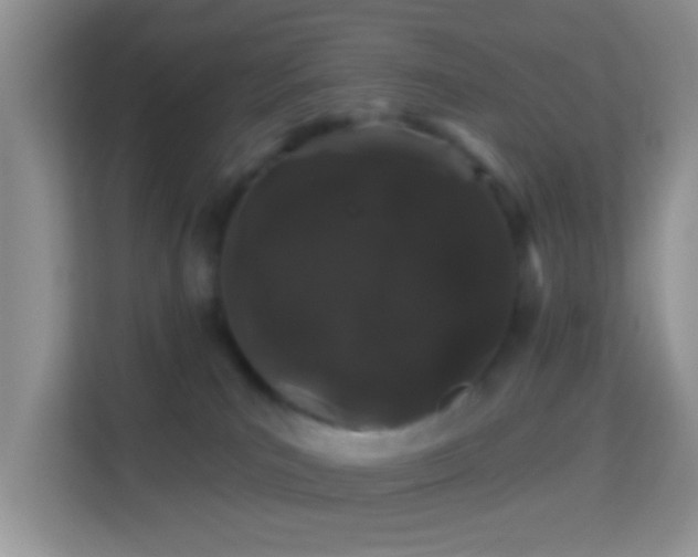 X0000113980039200910091327