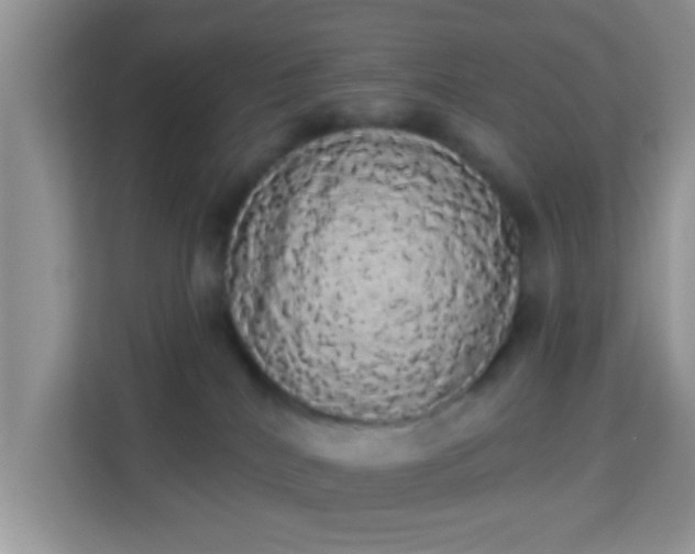 X0000113980040200910091327