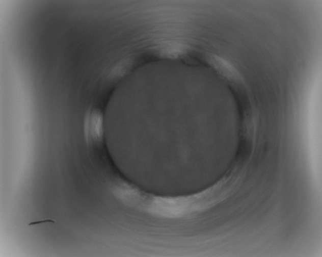 X0000113980041200910091327