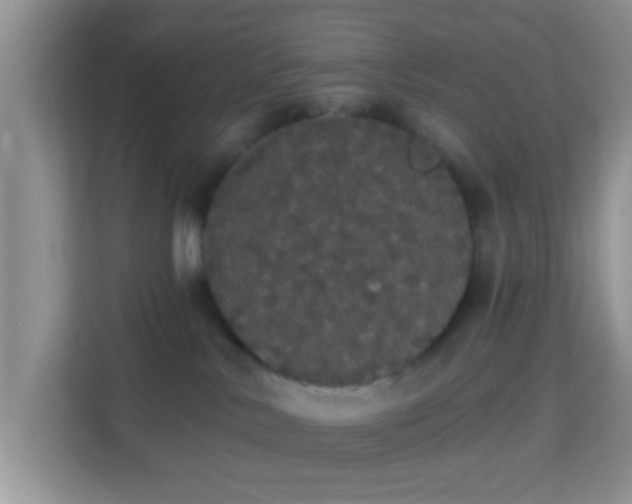 X0000113980042200910091327