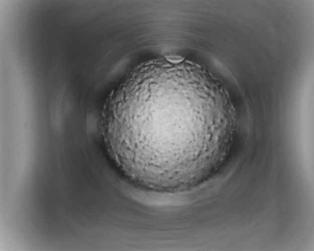 X0000113980044200910091327