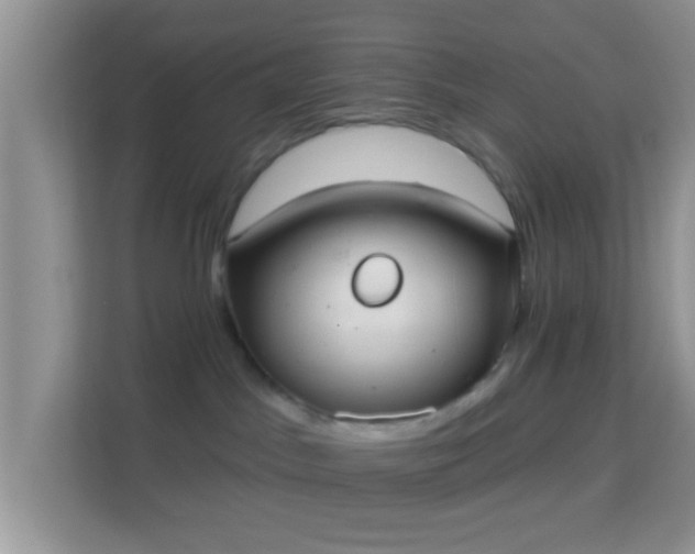 X0000113980045200910091327