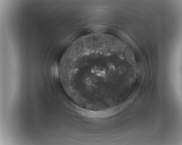 X0000113980046200910091327