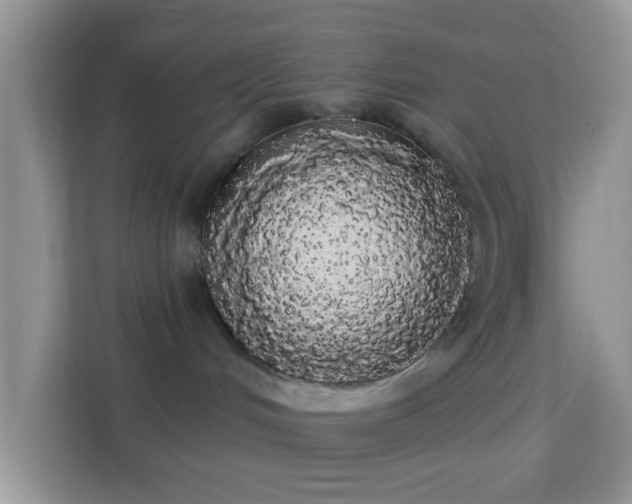 X0000113980048200910091327