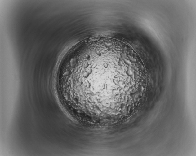 X0000113980049200910091326