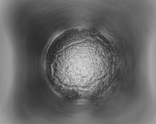 X0000113980050200910091326