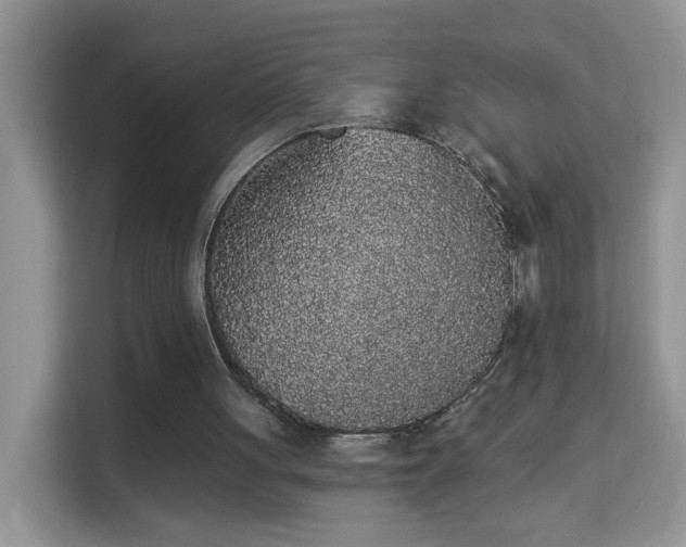 X0000113980051200910091326