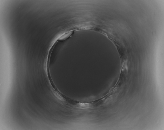 X0000113980052200910091326