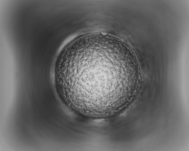 X0000113980054200910091326