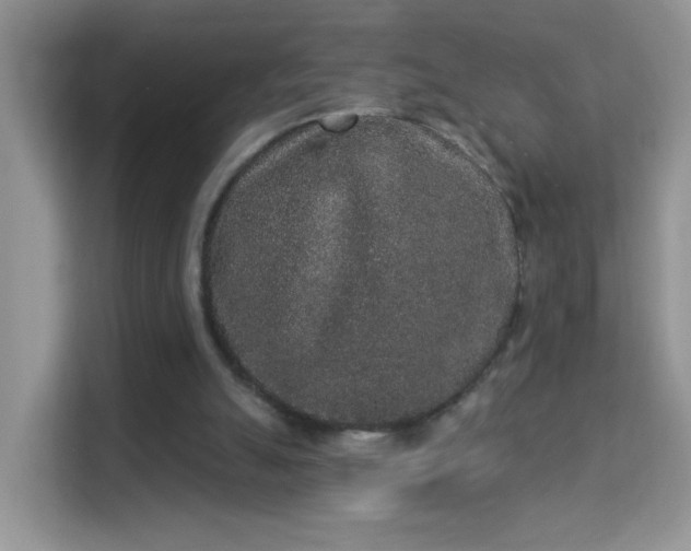 X0000113980055200910091326