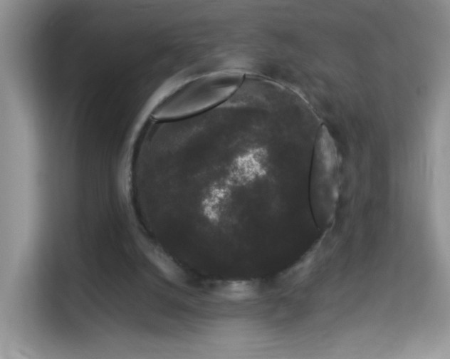 X0000113980056200910091326